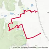 Preview of the route on the map
