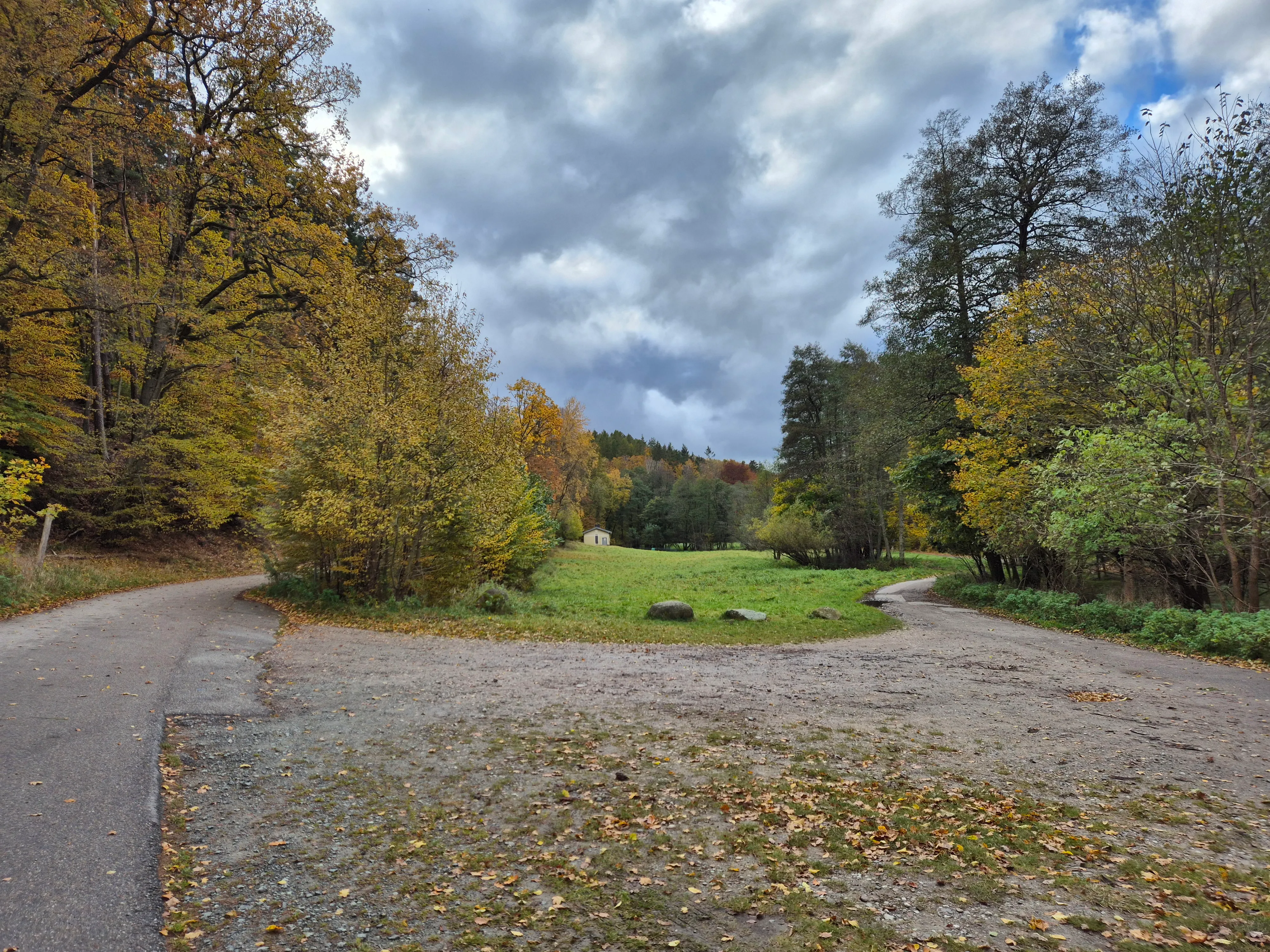 Photo of meadow in the Dolina Radości