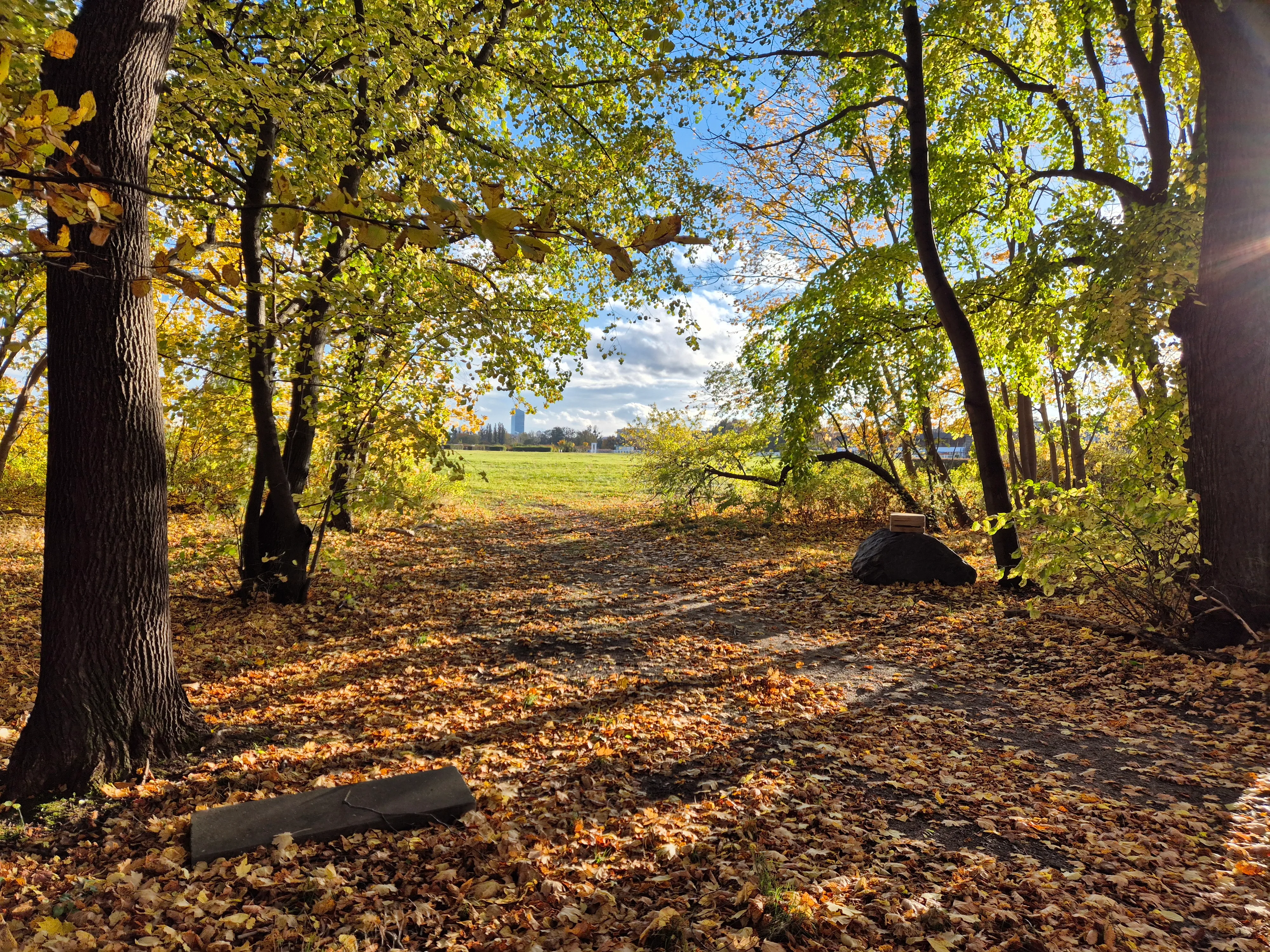 Photo of Sopot Hippodrome