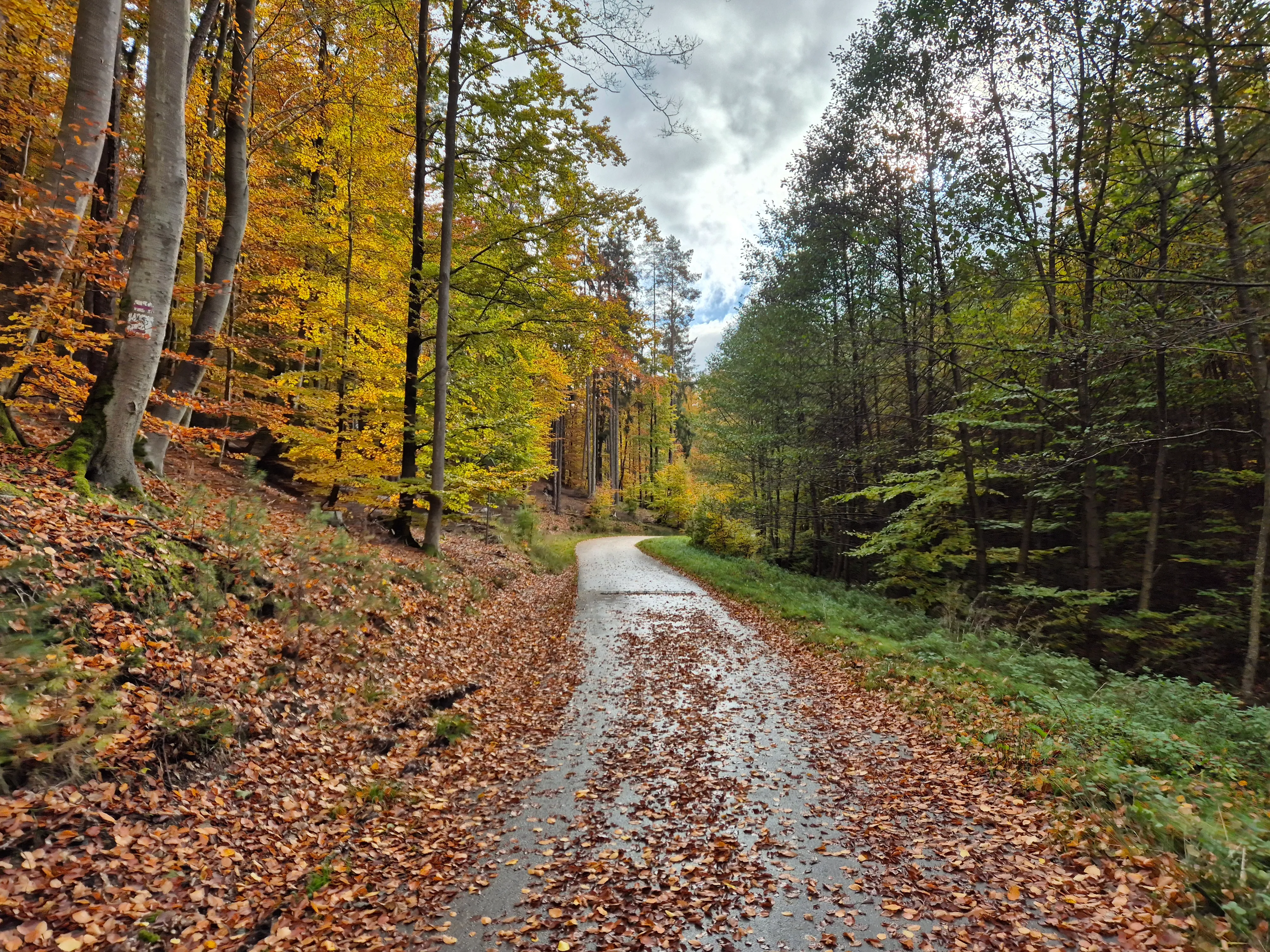 Photo of Klesza Droga