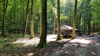 The Best Hiking Trails Near Gdańsk