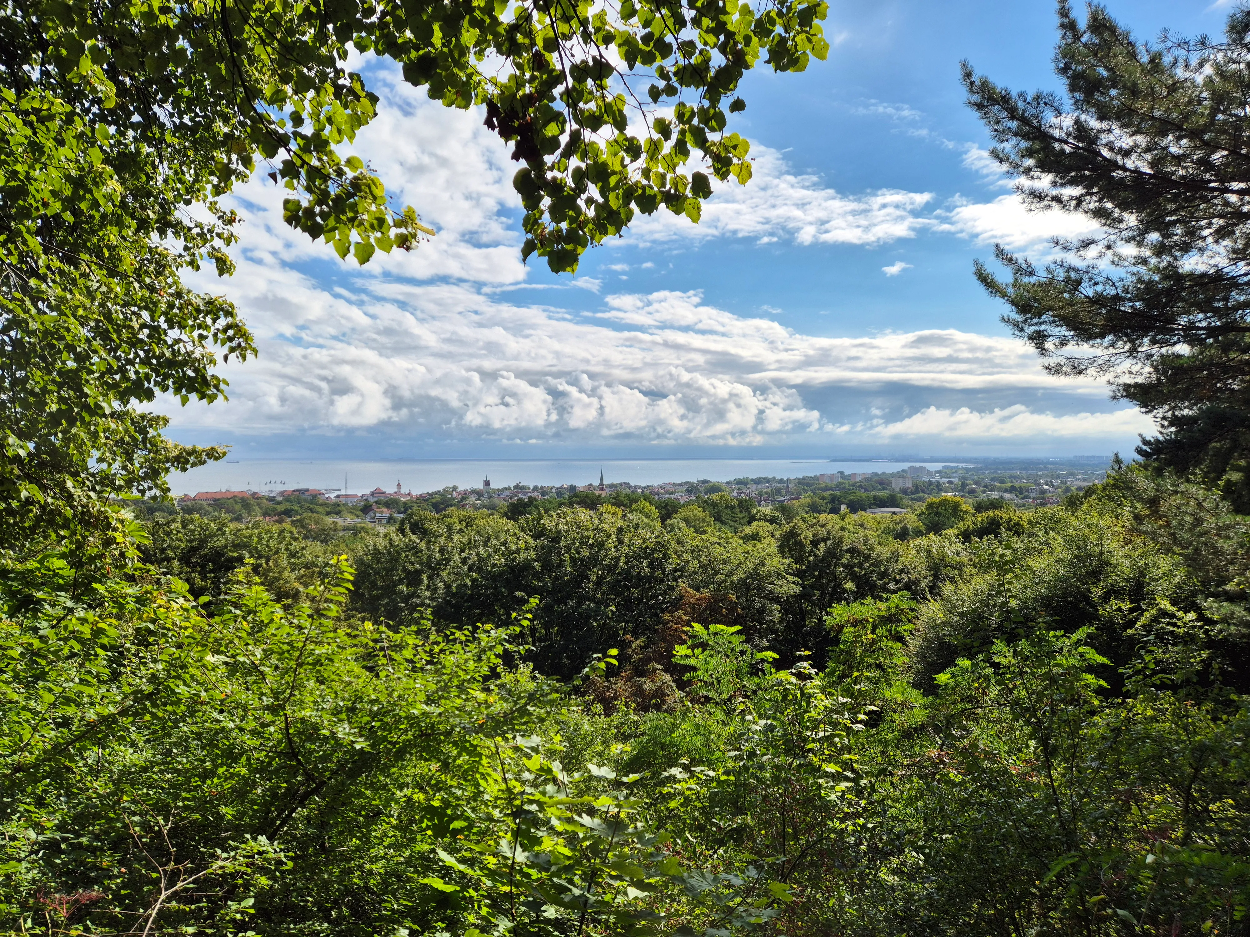Wzniesienie Strzeleckie